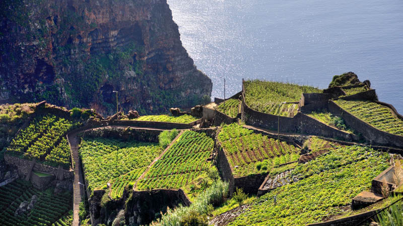 Madeiras sydkyst